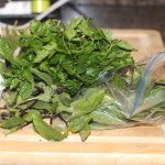 leftover parsley and basil