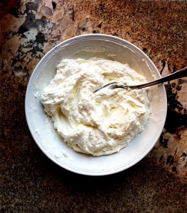 homemade yogurt healthy farm recipe
