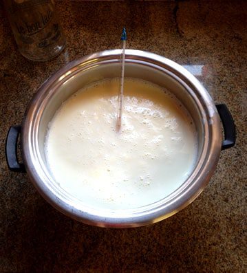 milkpot homemade yogurt