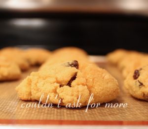 Paleo Raisin Scones