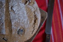 Olive bread recipe