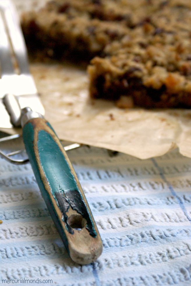 Chocolate, nut, oat bars recipe