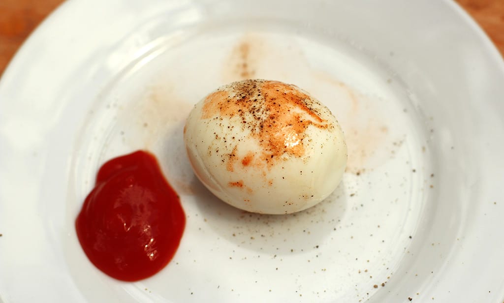EGG-SHOT2