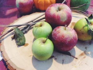 VEGAN CARAMEL APPLES
