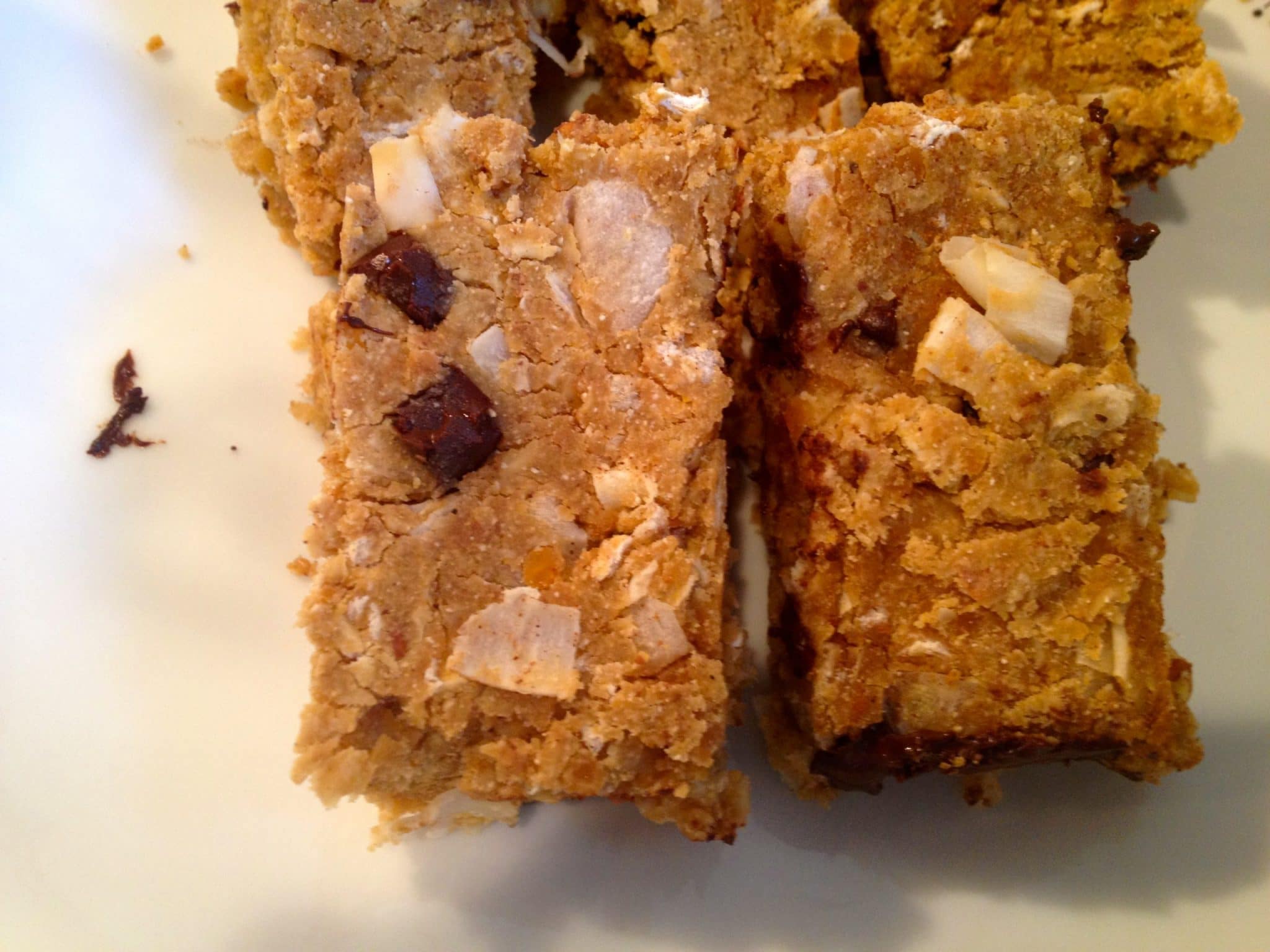 Gluten Free Cashew Butter Lentil Granola Bars (vegan)