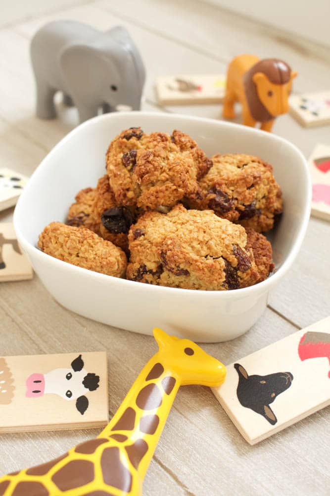 Baking With Kids: R.O.C. (raisins, Oatmeal, Coconut) Cookies