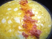Omelet_Process_C_publish