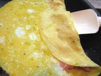 Omelet_Process_D_publish