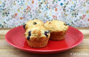 Blueberry Hill Muffins