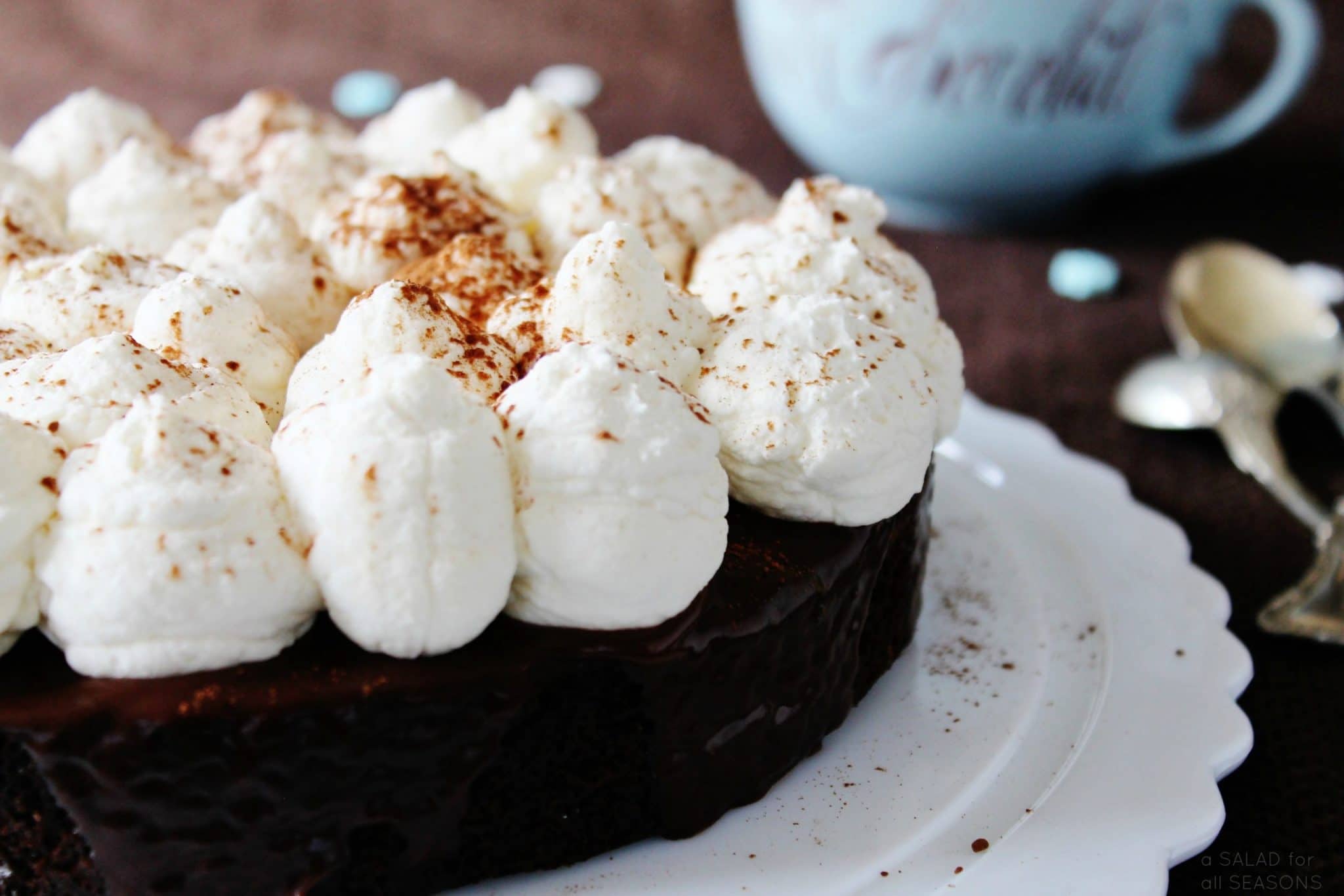 Cocoa Brownie Cake