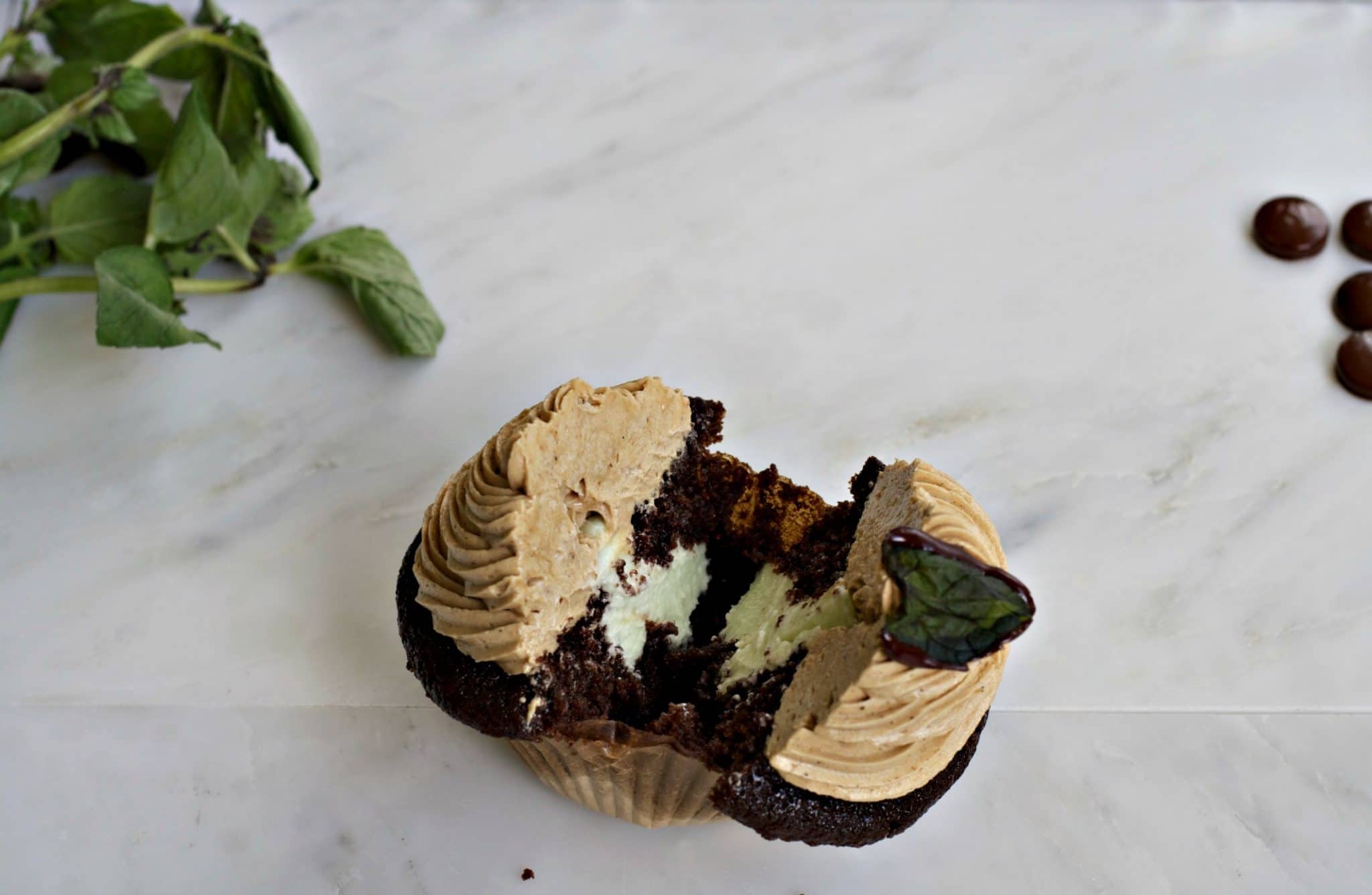 grasshoppercupcake8