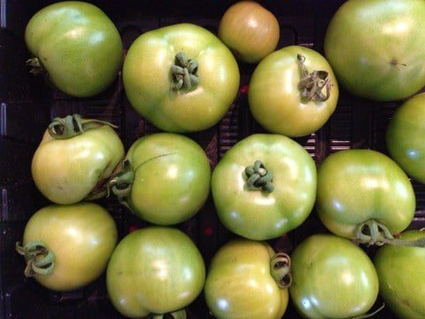 Green Tomato Chutney