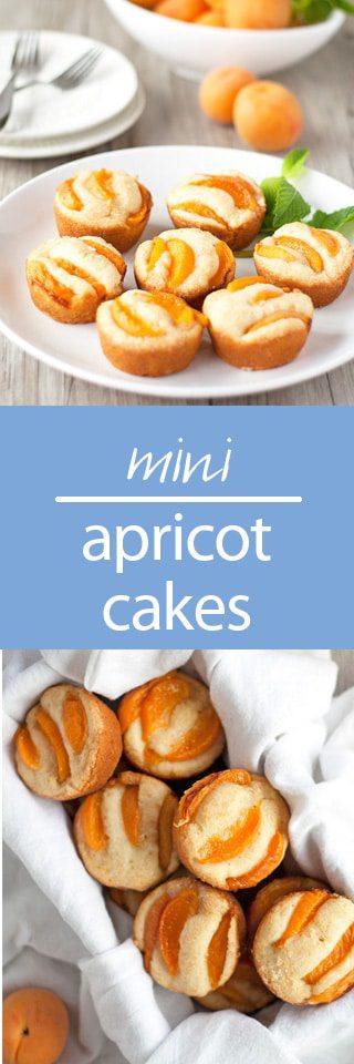 mini apricot cakes | ahappyfooddance.com