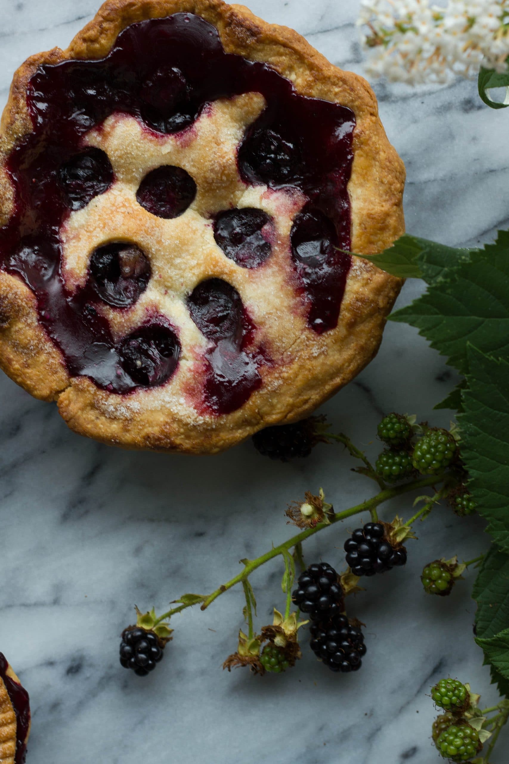 Black and Blueberry Ginger Pie 3