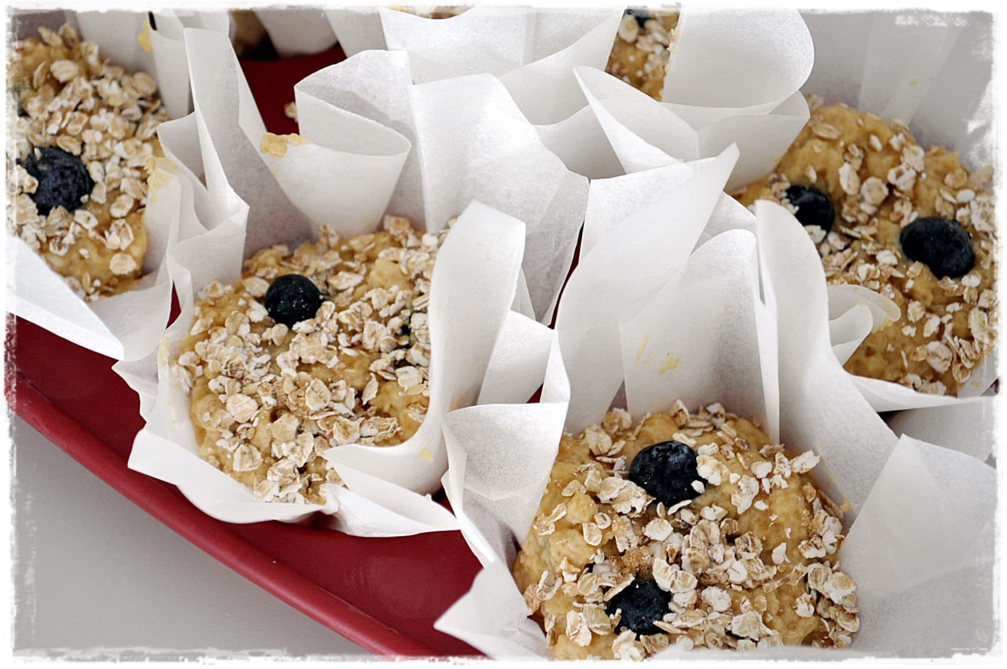 Blueberry Oaty Muffins 3