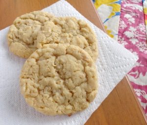 Coconut Oatmeal Chewies