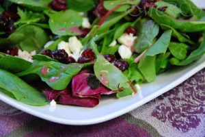 Garden Salad With Cranberries And Feta