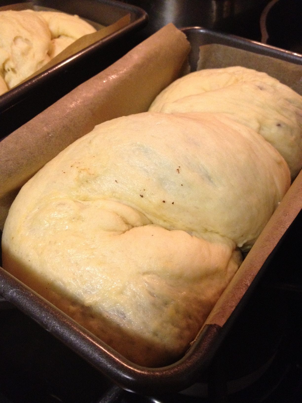 Epicurious chocolate babka