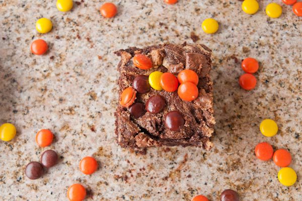 Flourless Triple Chocolate Triple Peanut Butter Brownies