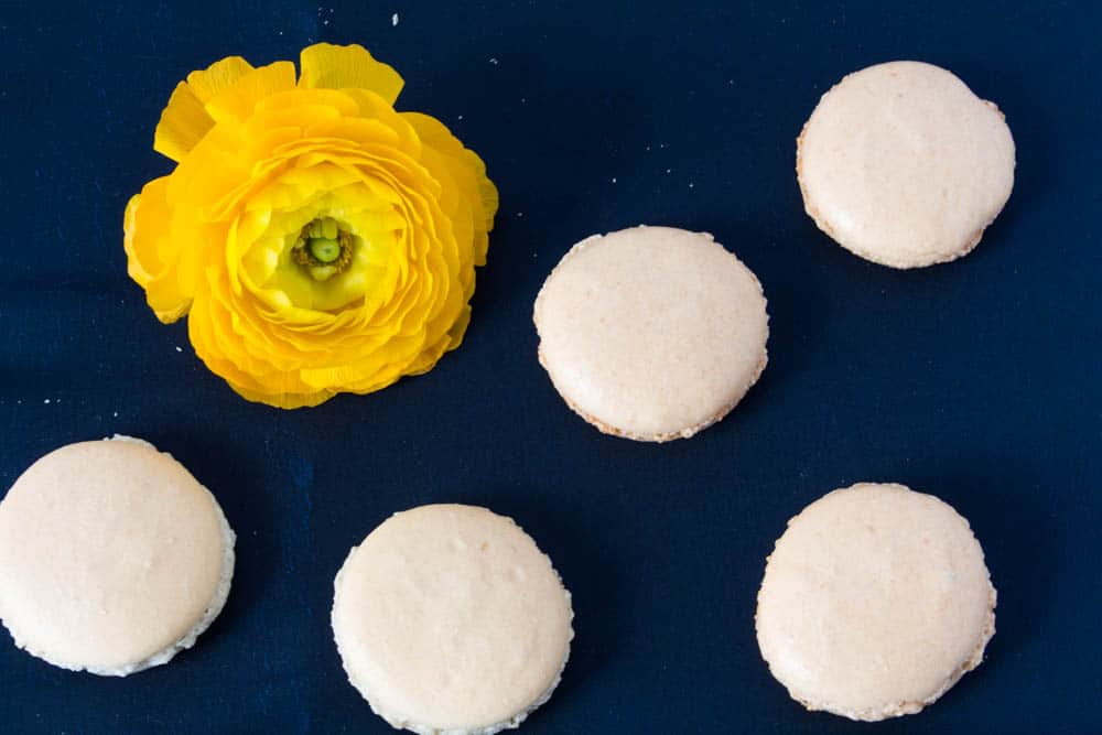 macarons on blue background with yellow peony