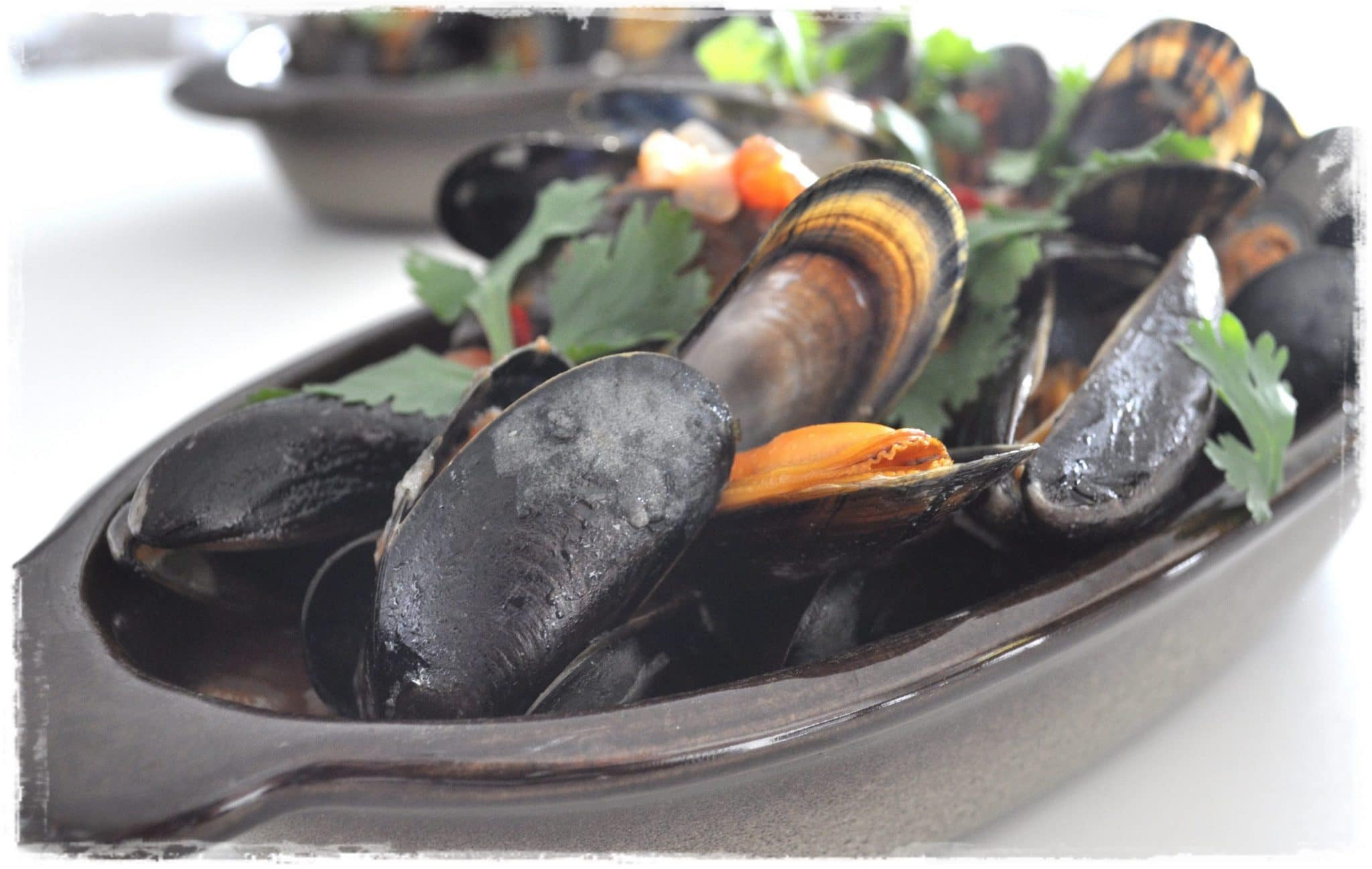 Mussels 2