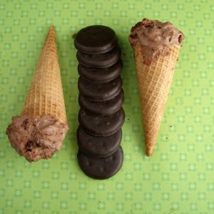 Edy's Thin Mint Ice Cream