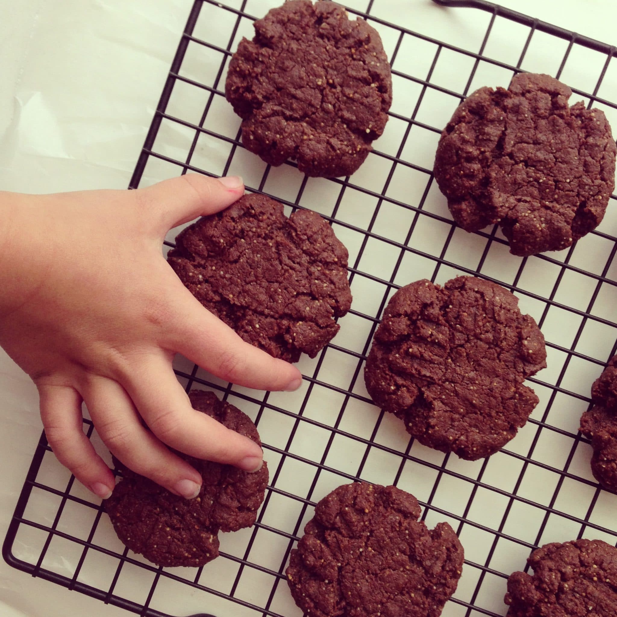 Chewy Flourless Chocolate Chocolate Chip Cookies