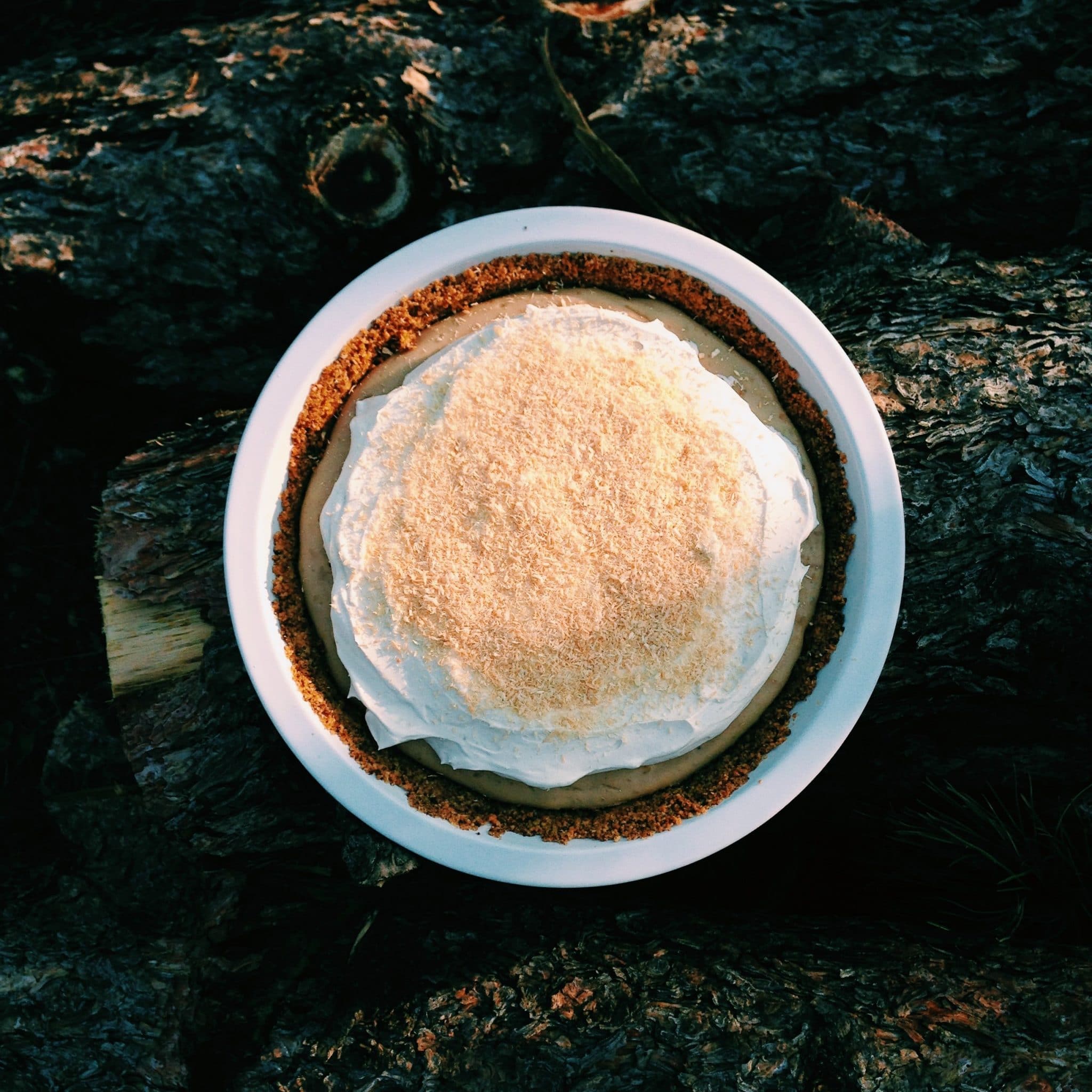 coconut pie on logs above