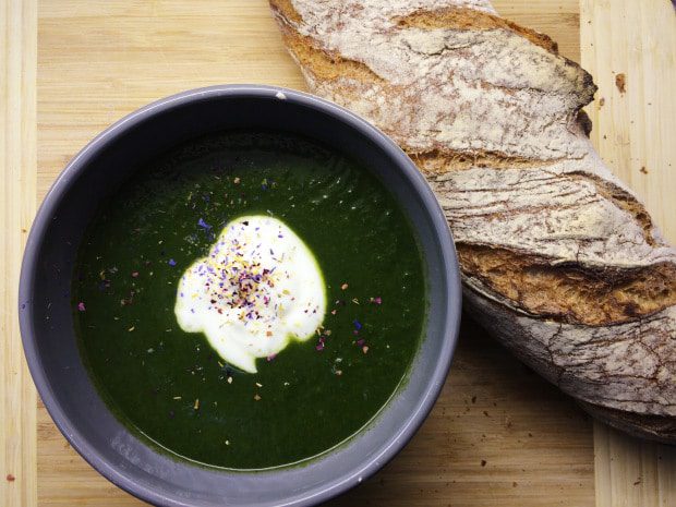 Spinach And Fennel Soup