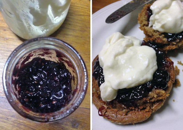katoba jam flourless muffin recipe gluten free healthy