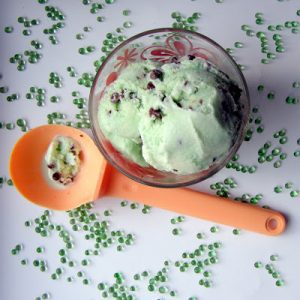 Mint Chocolate Chip Ice Cream