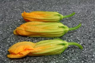 Cashew Cheeze Stuffed Squash Blossoms