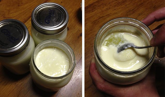 yogurt jars homemade healthy farm
